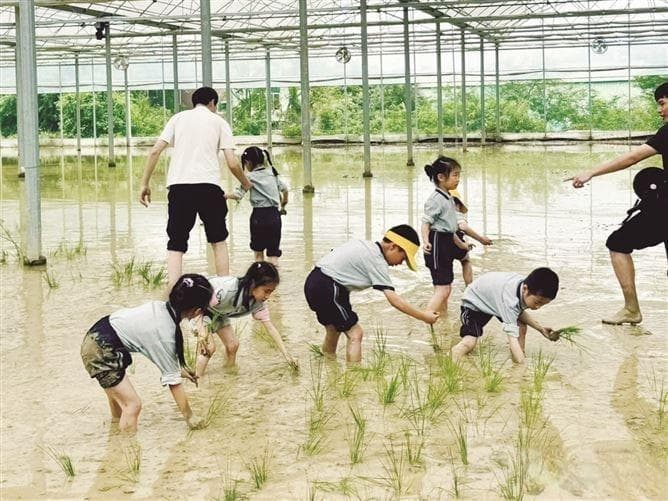 厦门多个研学点获省级推荐！这些特色线路走起→