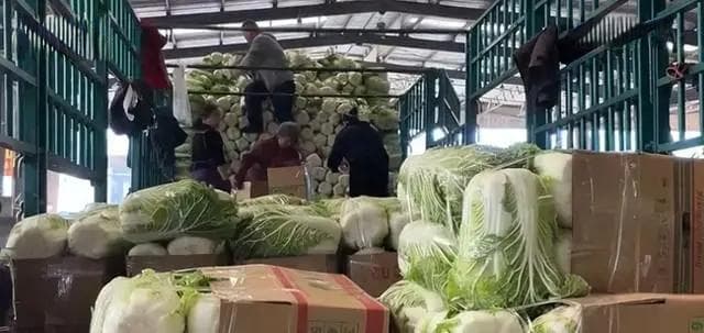 秋季蔬菜大量上市供应充足，你那里的蔬菜价格降了吗？