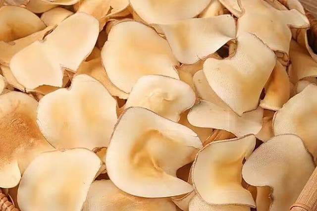 海底椰的正确打开方式：功效、食用方法与禁忌全知道