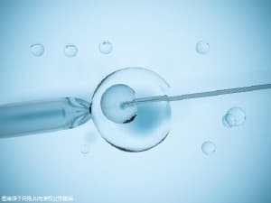 适合春天的喝的六款养生汤，祛湿健脾胃还能缓解春燥