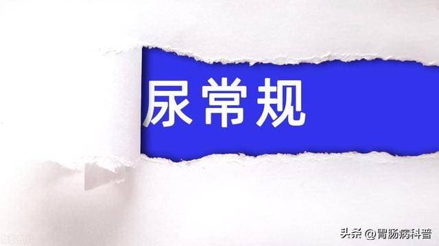 手把手教你看懂尿常规