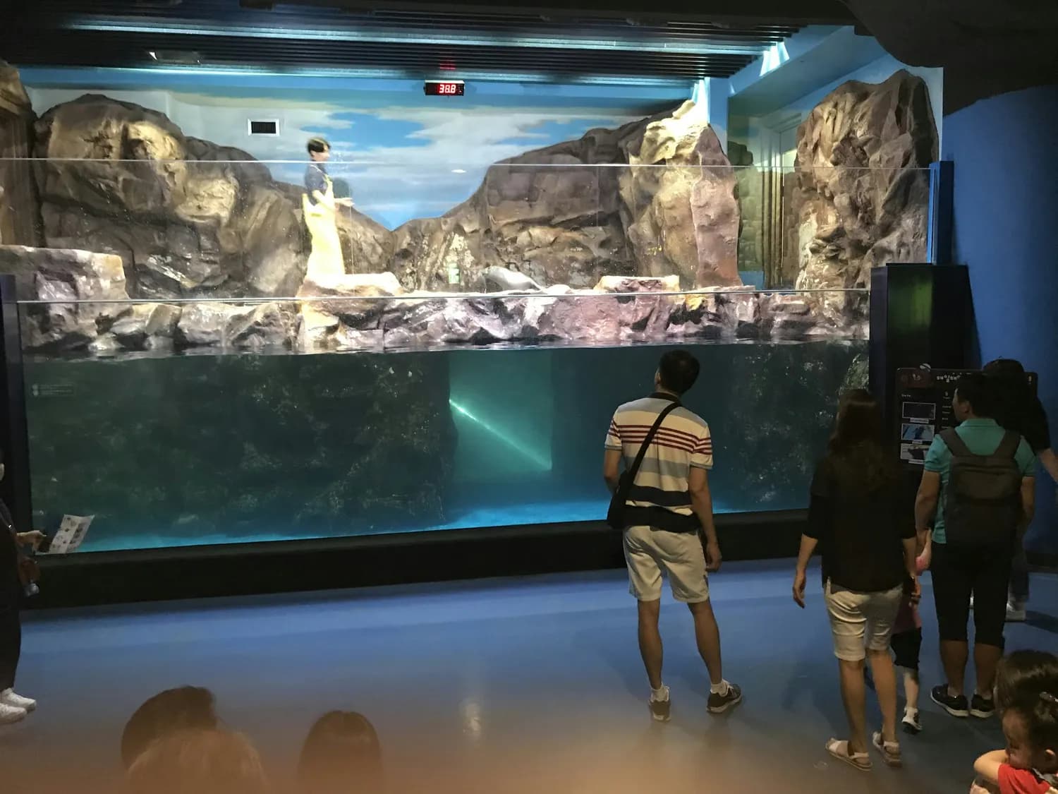 带娃畅游上海海洋水族馆，这份攻略你值得拥有！