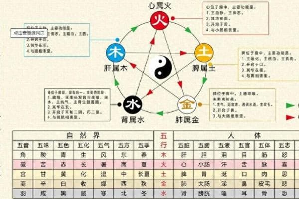 五行之道：探索五行列表背后的深层含义与应用