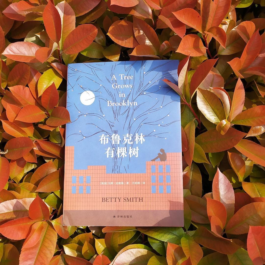 一本极好的成长教育小说