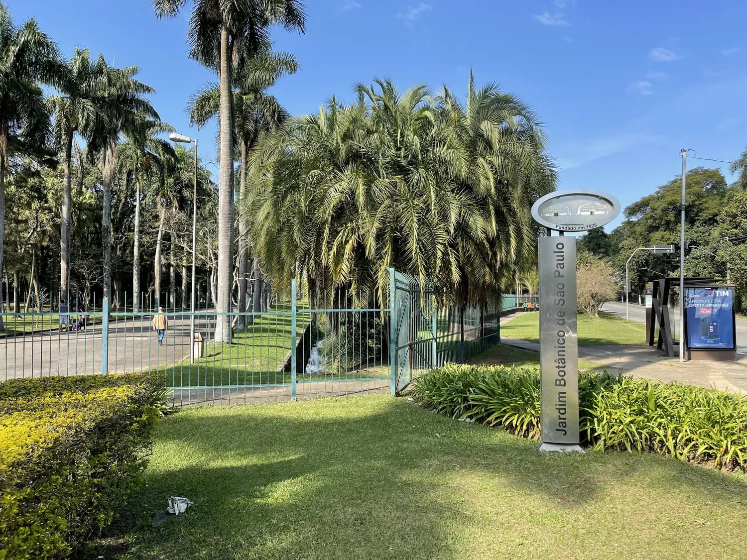 乘中老铁路畅游：墨江奇观与西双版纳风情