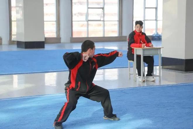 武术：孩子成长道路上不可或缺的宝贵课堂