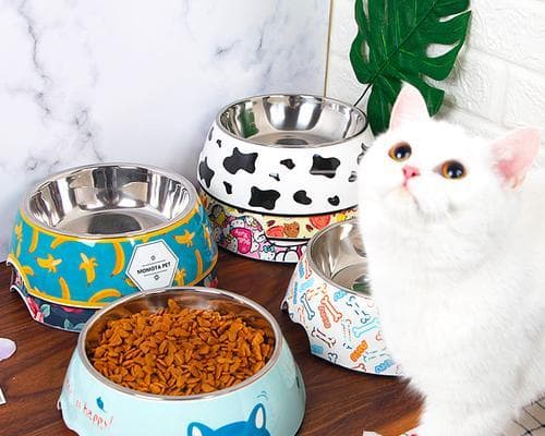小猫为什么喜欢刨花盆里的土？从天性到习惯的全面解析