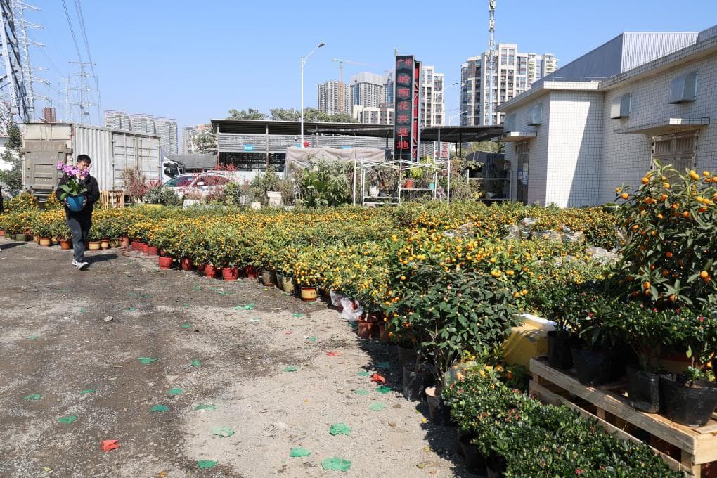 年货看“变”丨新春氛围感拉满！“唔行花街，唔算过年”