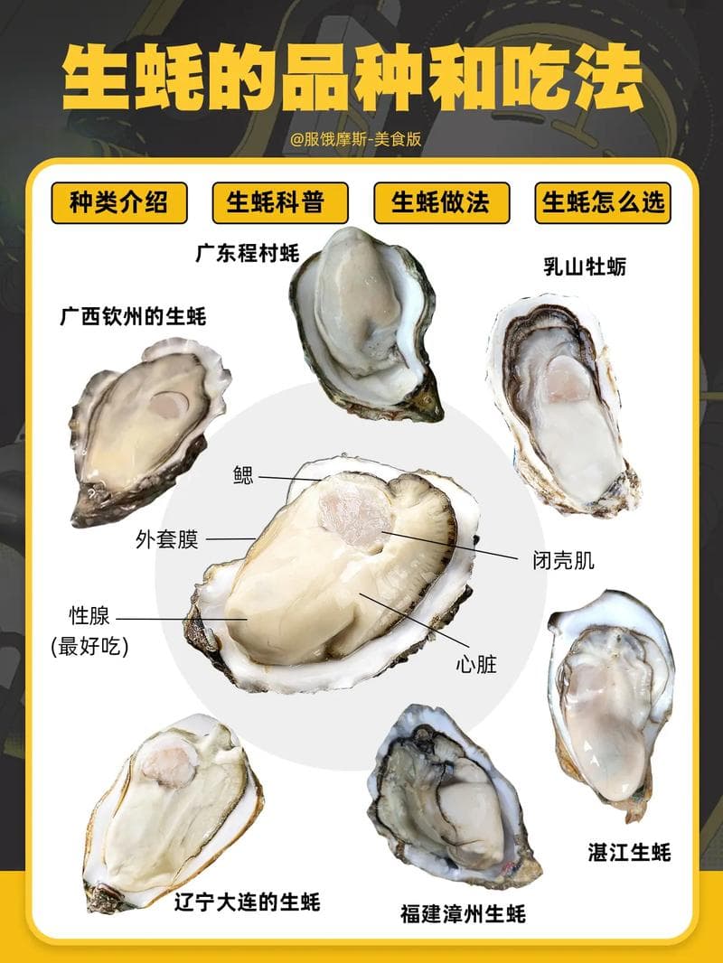 中国生蚝的七大品种：从太平洋生蚝到桑蚶