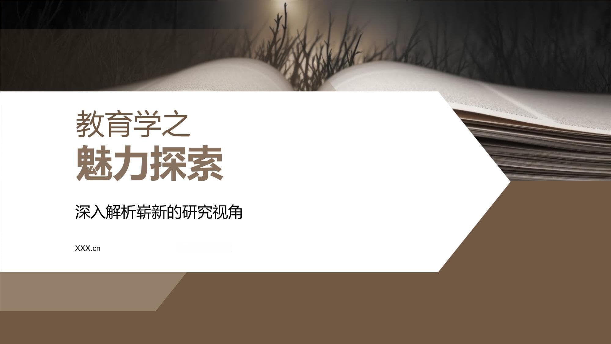 教育学之魅力探索