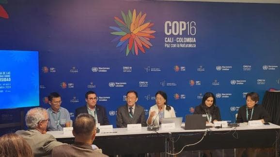 COP16专访｜巴西如何借鉴中国“生态红线” 保护亚马逊雨林