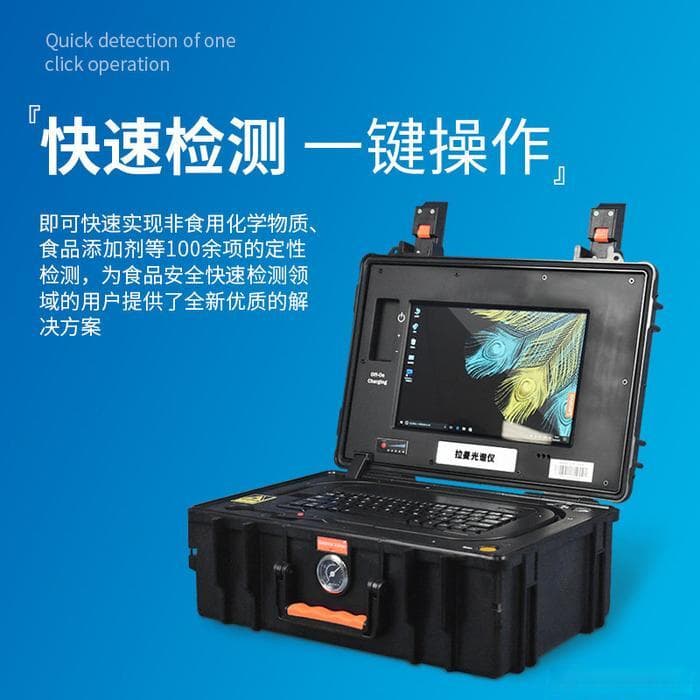 便携式拉曼光谱分析仪的工作原理是什么？
