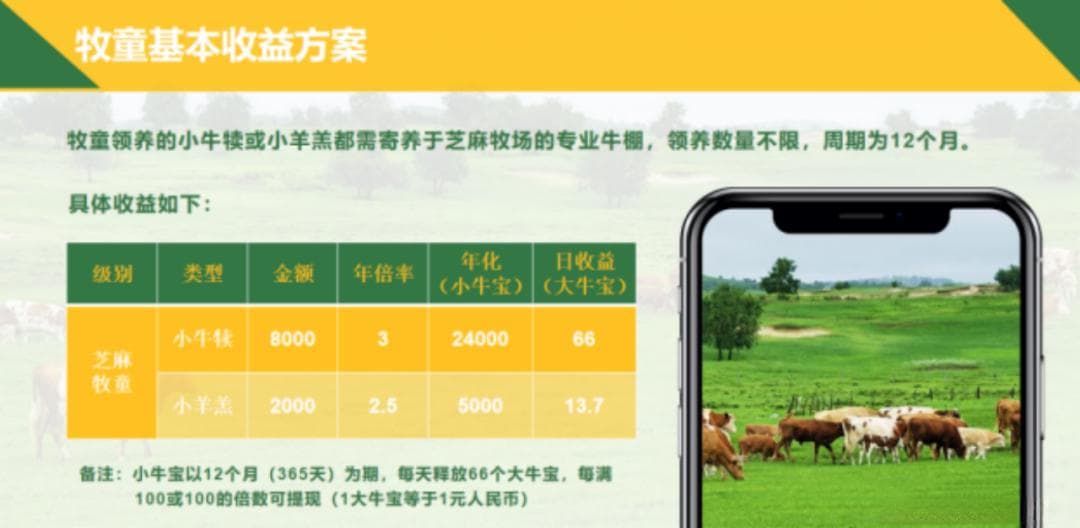 金字塔式骗局背后：网络传销案的定罪量刑与证据运用