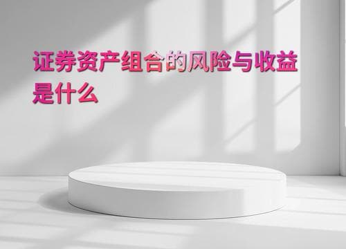 证券资产组合的风险与收益是什么