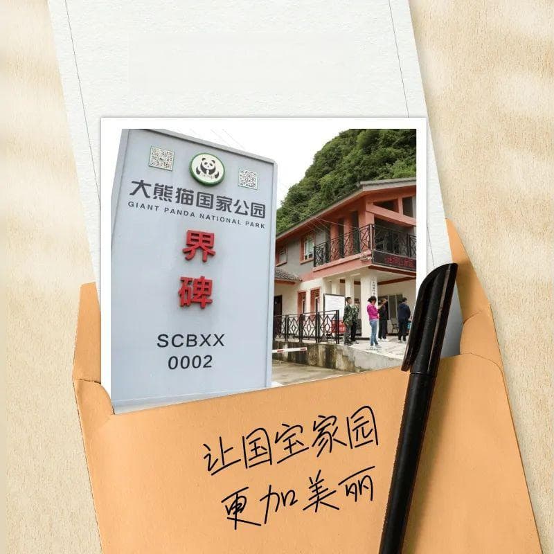 大熊猫国家公园：让国宝家园更加美丽