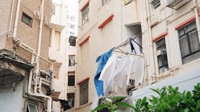 香港专才计划深度解析：机遇、挑战与成功策略——助力专业人才实现香港梦