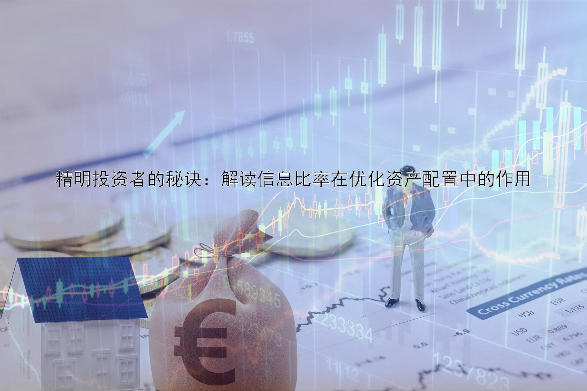 精明投资者的秘诀：解读信息比率在优化资产配置中的作用