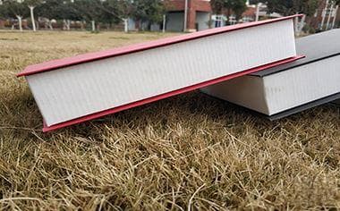 承包的林地可以建房吗？法律这样规定的