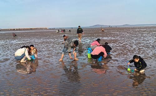 青岛赶海最佳地点和时间2024时间表