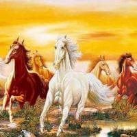 牛蛙喜欢生长在什么环境