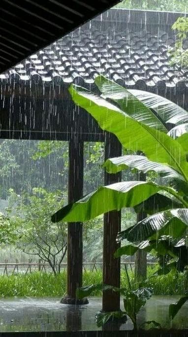这样听雨声，你才能真正感受到诗意!