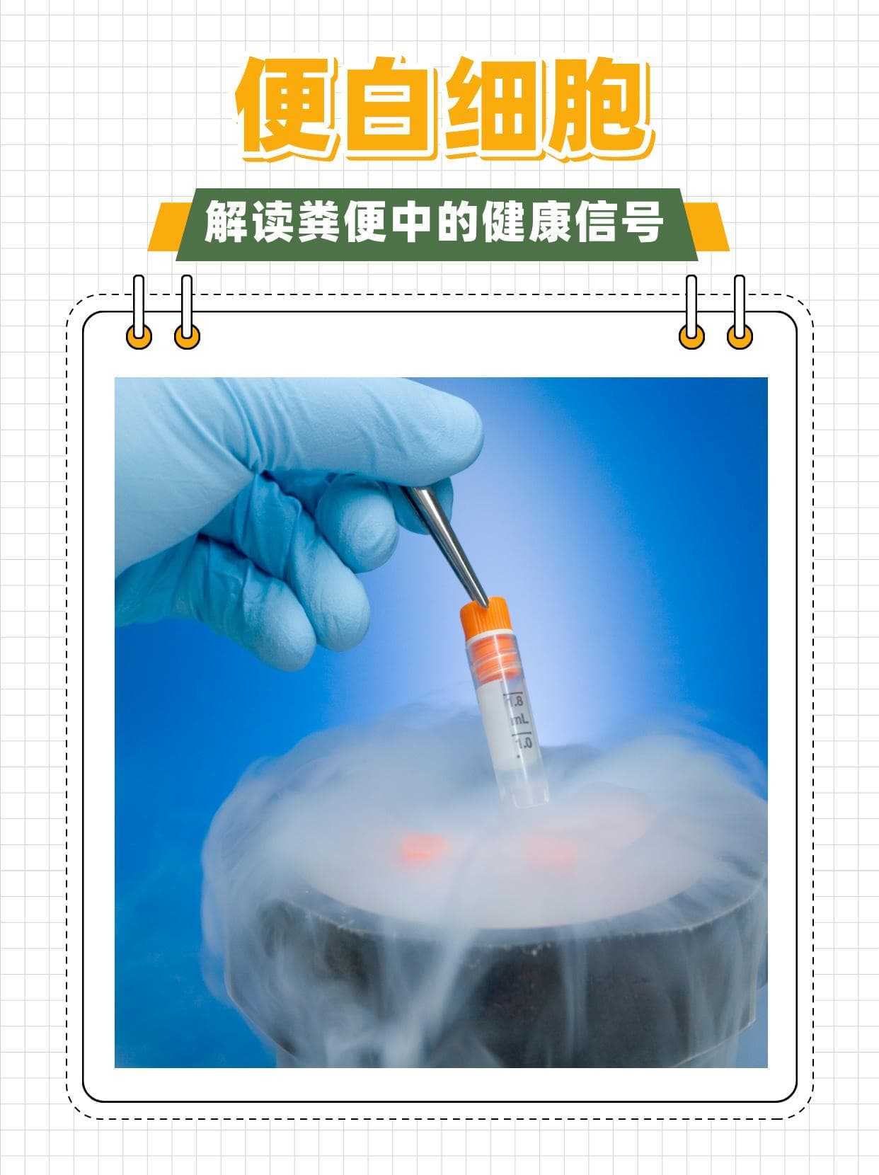 便白细胞：解读粪便中的健康信号