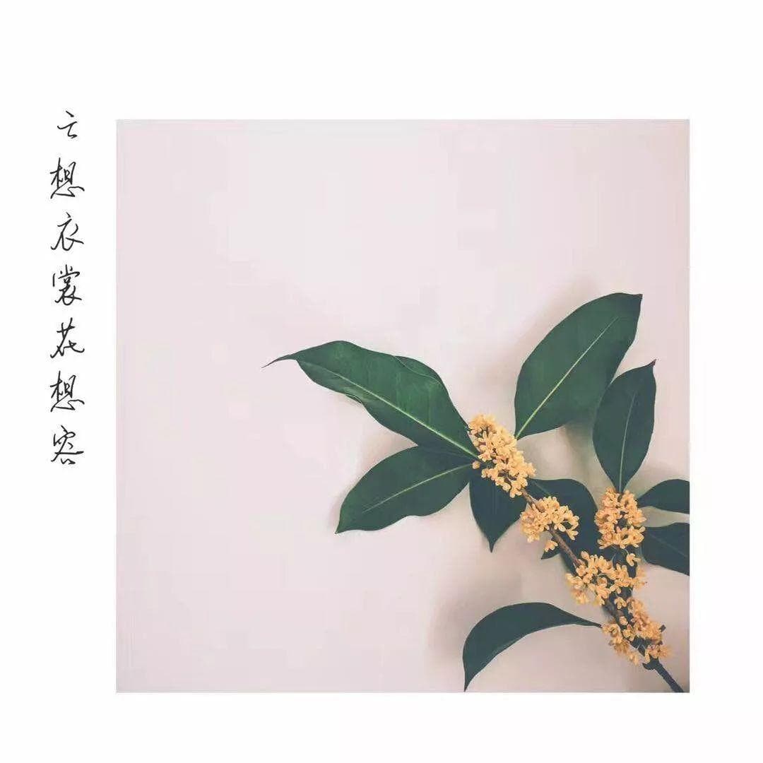 突出演讲主题的三个妙招