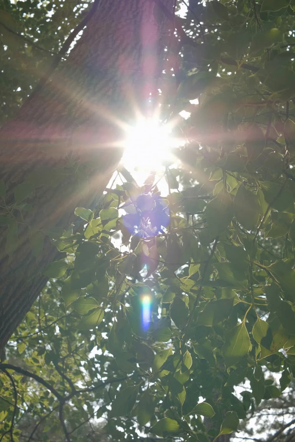 《斗罗大陆》新剧透：古月娜遭侵犯情节引热议！