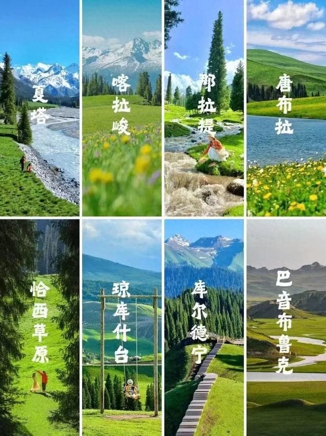 新疆伊犁八大草原旅游攻略：特色对比与路线推荐