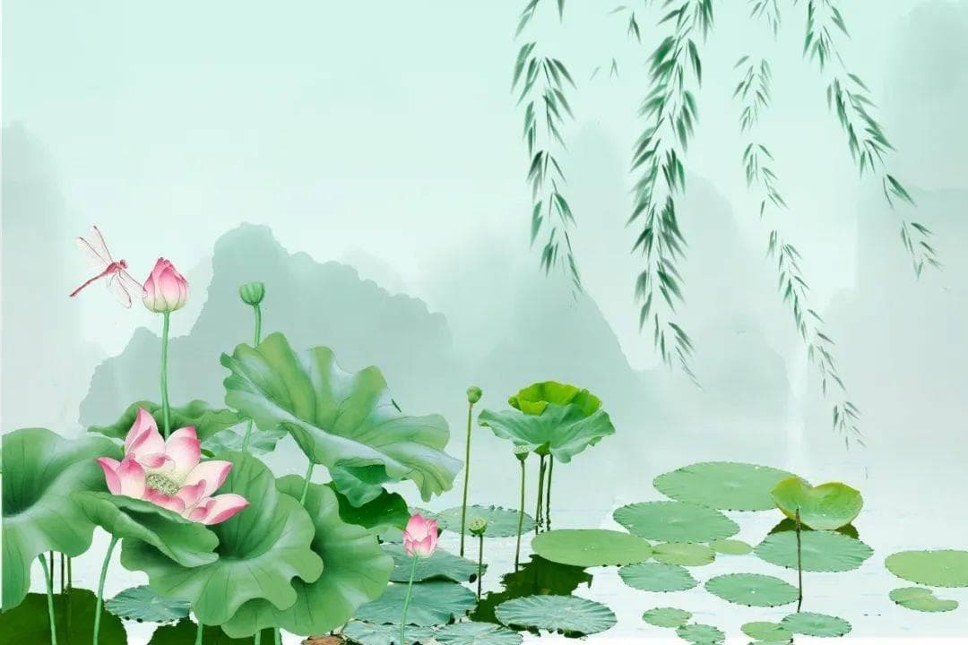吃莲的益处您了解吗
