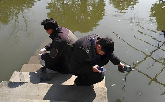 水产养殖水质监测宝典：了解必测指标，守护养殖生物健康生长！