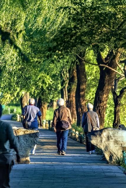 给70岁以上老人的5个养老建议：健康、理财、社交一个都不能少
