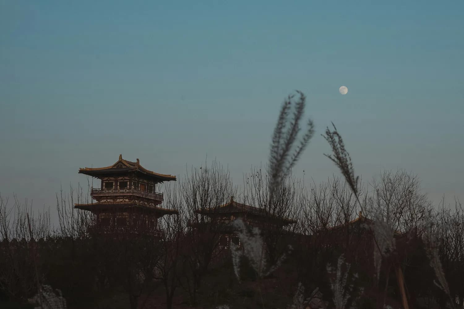 古诗改写新潮流：从经典到现代