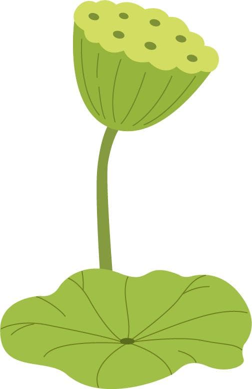 中医进补有讲究！你知道夏末初秋适合吃什么肉吗？