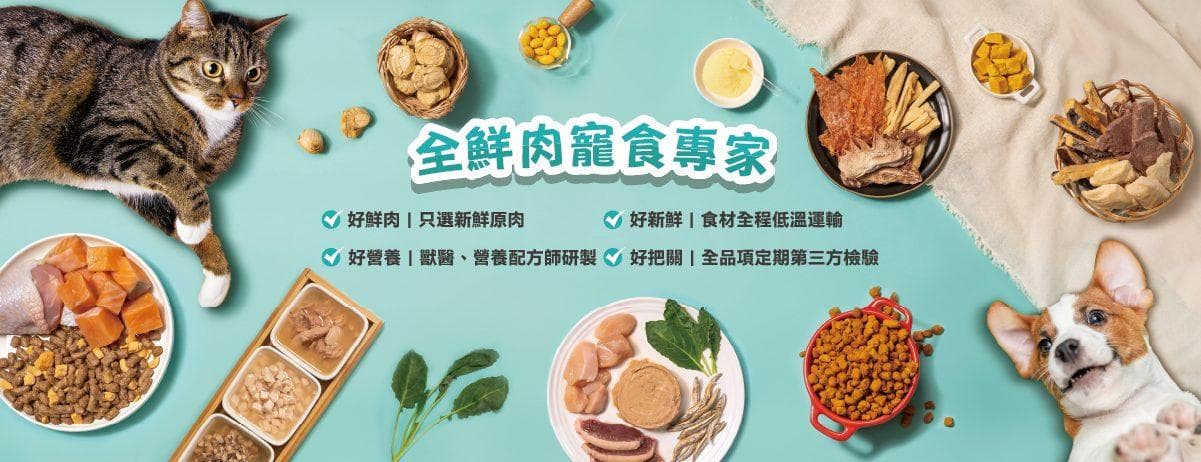 猫咪可以吃牛肉吗？猫咪吃什么肉最好？7大肉类优缺点全攻略！