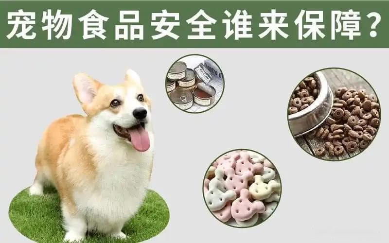 宠物食品安全问题探讨简析