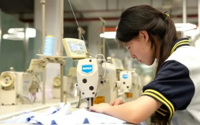 中专生姜萍作弊事件：从个人悲剧到教育反思