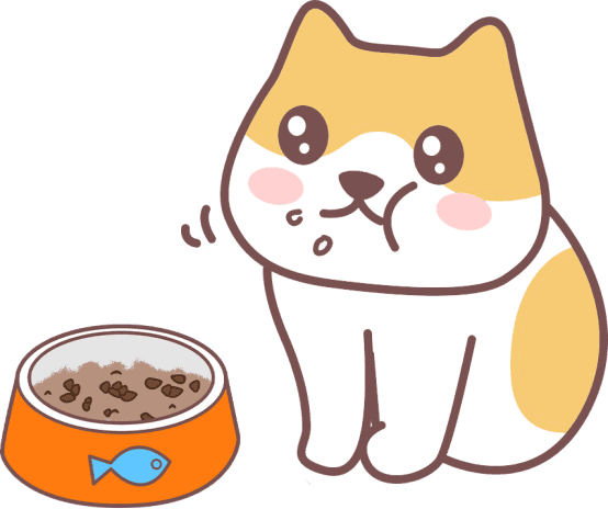 猫黑下巴擦不掉？别忽略了这些罪魁祸首！
