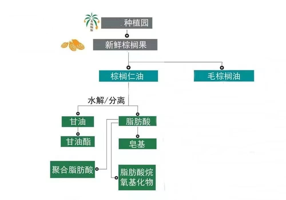 从棕榈油提取的食品级甘油：生产工艺与应用