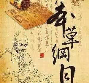 《本草纲目》中令人惊讶的人体药材：耳屎、头屑等的药用价值
