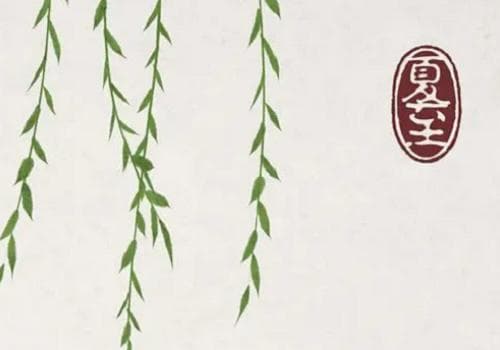 夏至的由来和风俗 夏至的至是什么意思