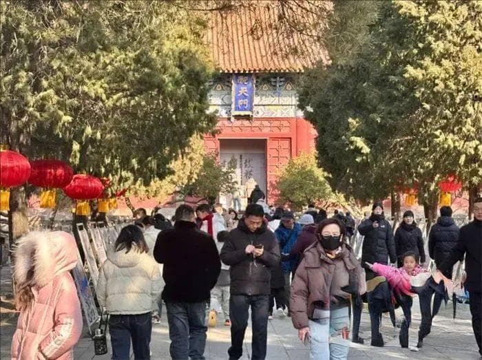 背诗打卡！“康雍乾”诗春节“走红”， 岱庙新春活动解锁传统文化新玩法