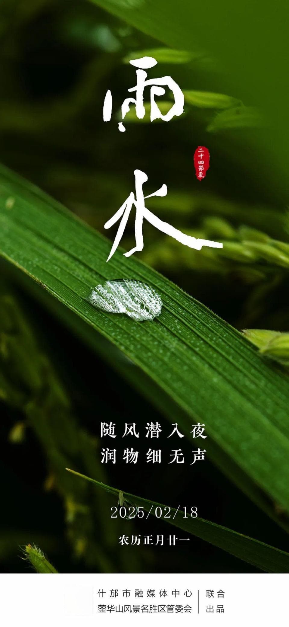 今日雨水！这些养生知识你得知道……