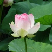 逗号怎样增强表现力