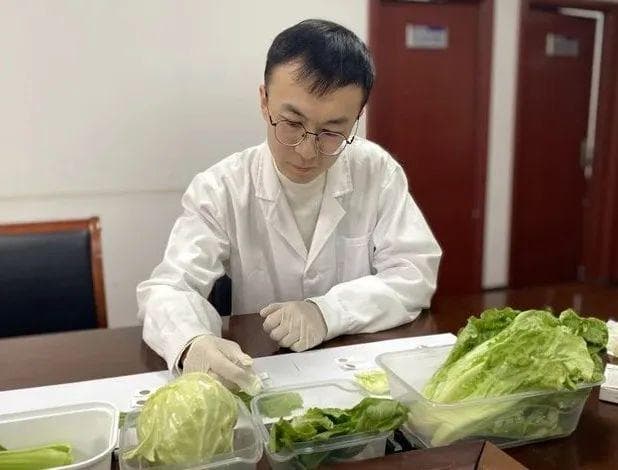 这些“神器”可快速检测蔬菜农药残留？别信！