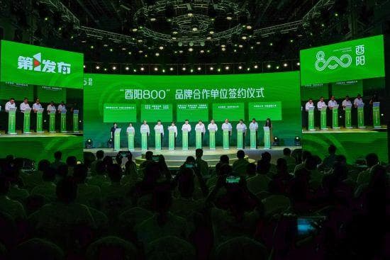 “酉阳800”：高山生态价值变现新密码