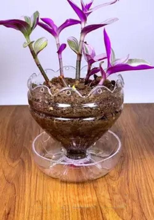 如何用塑料桶剪制出好看的花盆？有哪些创意方法？