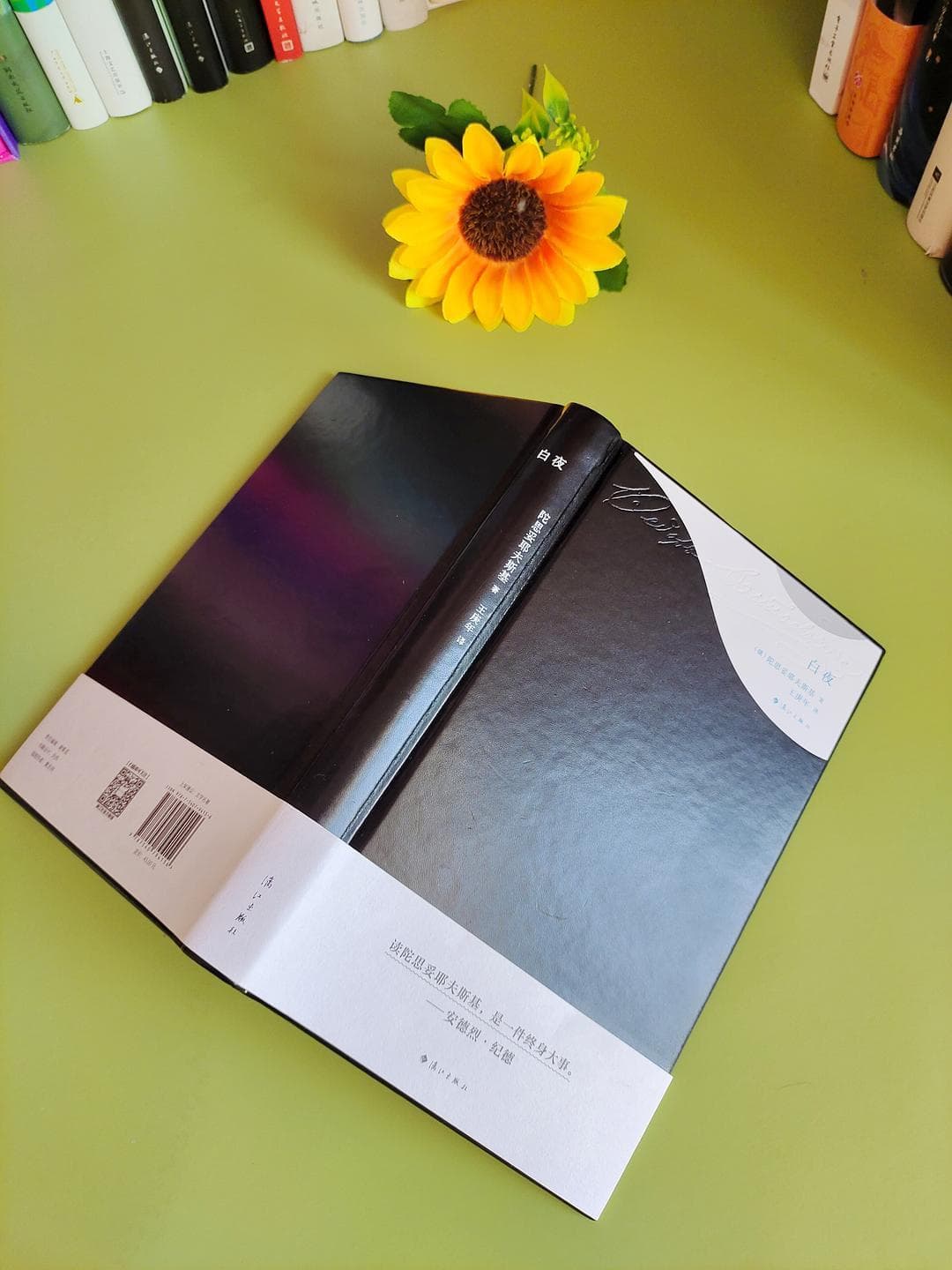 《白夜》：陀思妥耶夫斯基笔下的灵魂独白