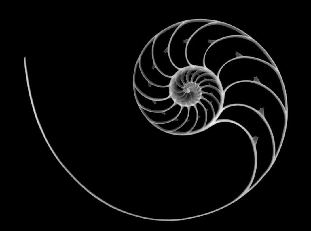 三破缺，生万物：中国科学家提出复杂性起源第一性原理