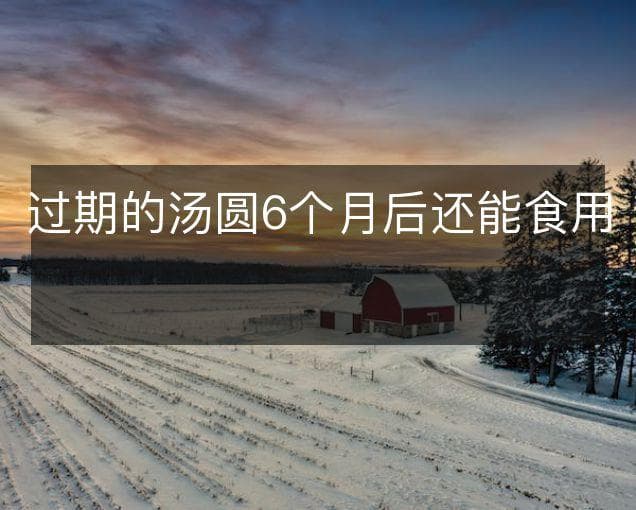 过期的汤圆6个月后还能食用吗